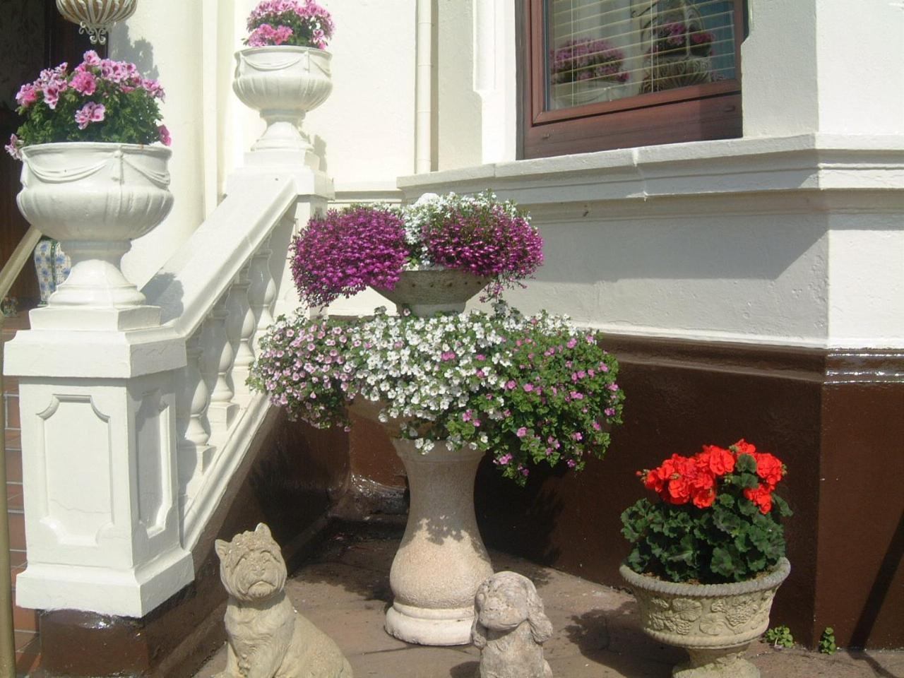 Manor House B And B Larne Kültér fotó
